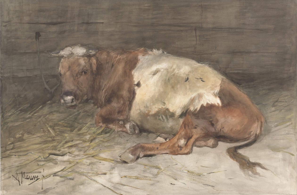 Novillo recostado de Anton Mauve