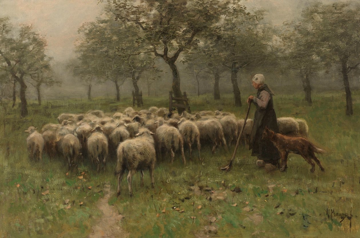 Pastora con un rebaño de ovejas de Anton Mauve