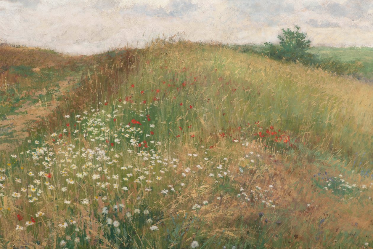 Verano, 1897 de Antonin Slavicek