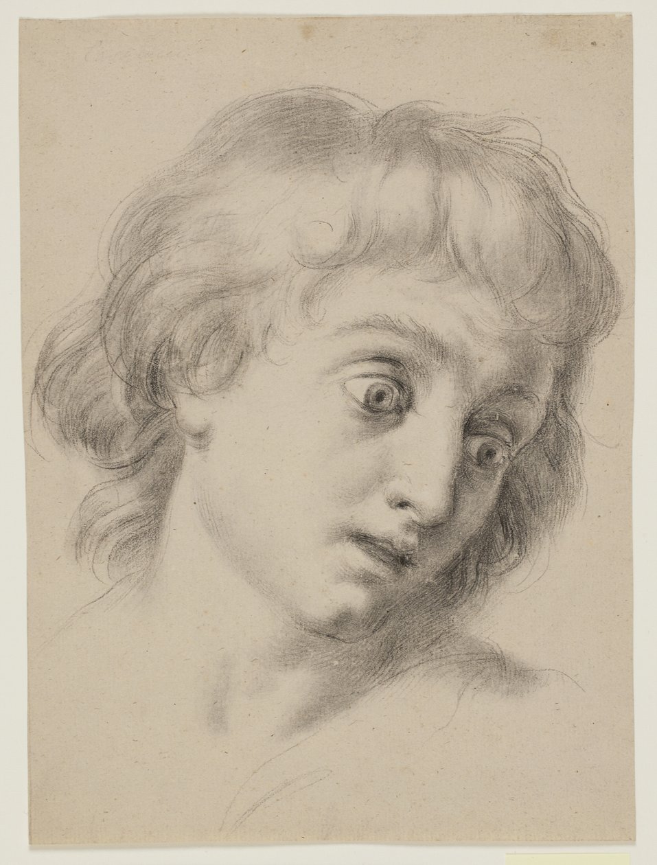 Cabeza de un niño de Antonio Cavallucci