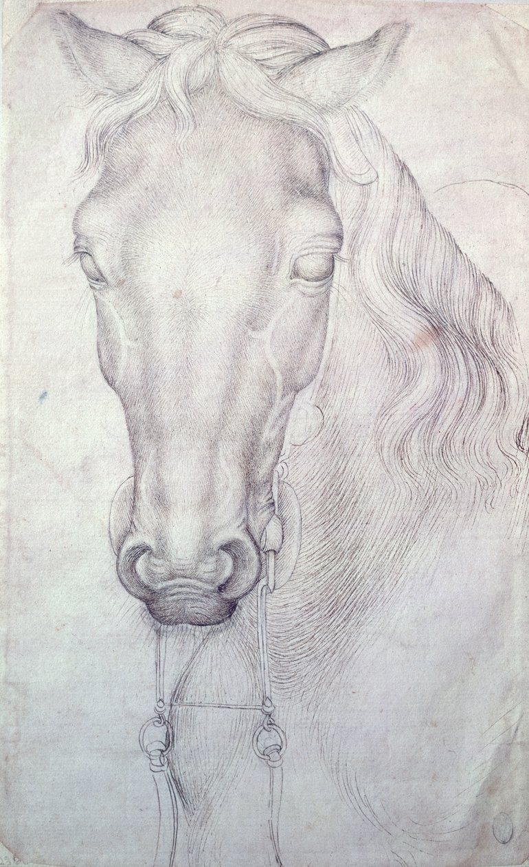 Cabeza de un Caballo de Antonio Pisanello