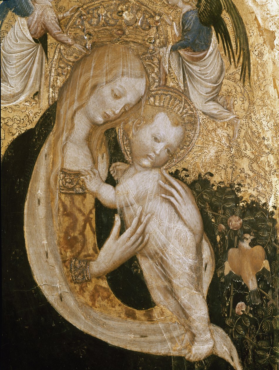 Virgen con codorniz de Antonio Pisanello