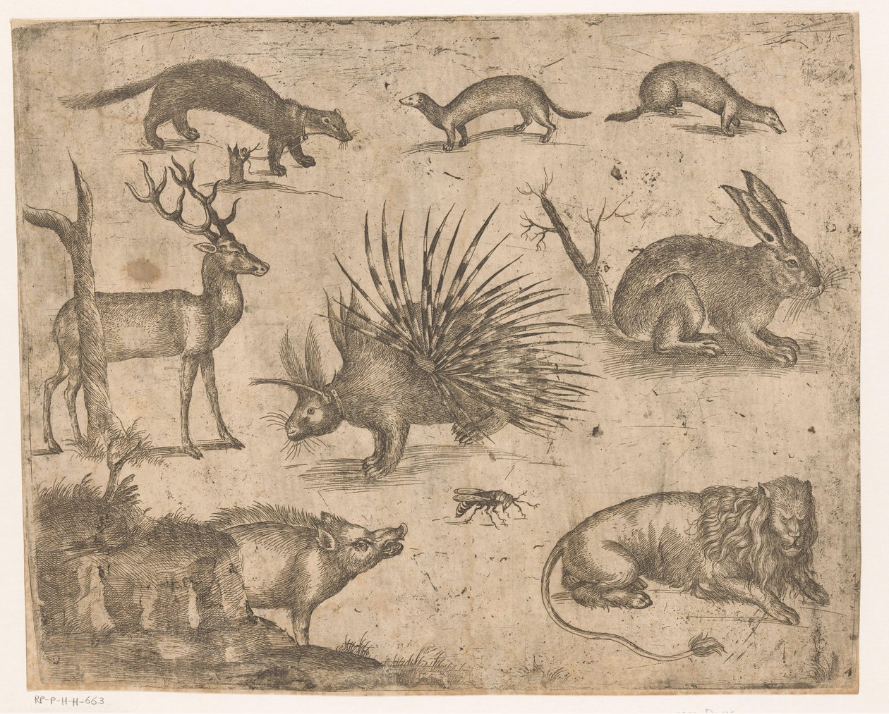 Ficha de estudio con diferentes animales de Antonio Tempesta (attributed to)