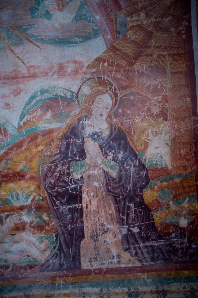 Madonna (detalle) de Antonio da Padova