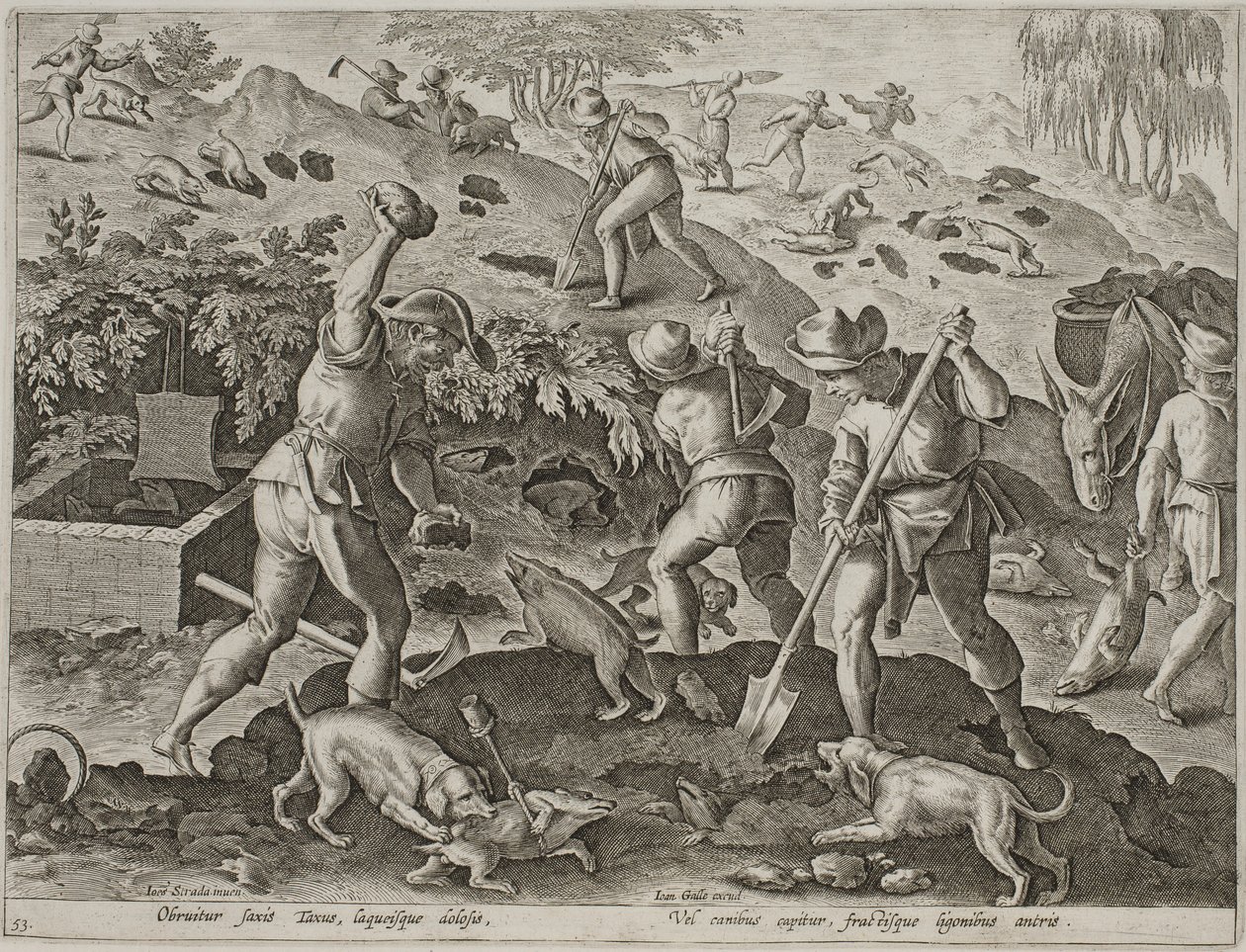 Caza de tejones de Antonius Wierix