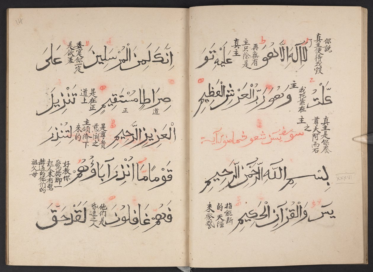 Corán, BL IO Islamic 3440, f.13v-14r de Arabic School