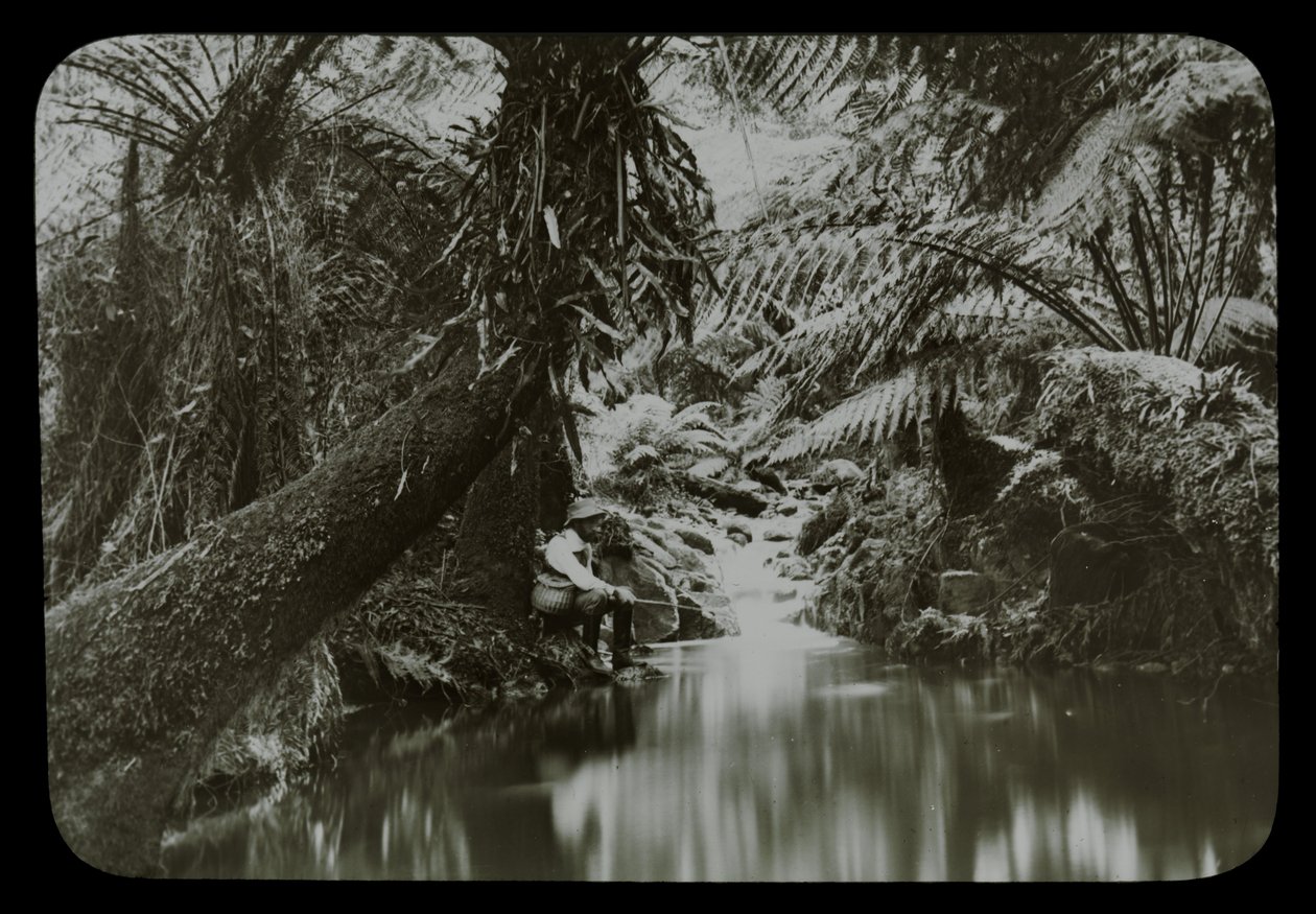Piscina de pesca, Sassafras Gully de Archibald James Campbell