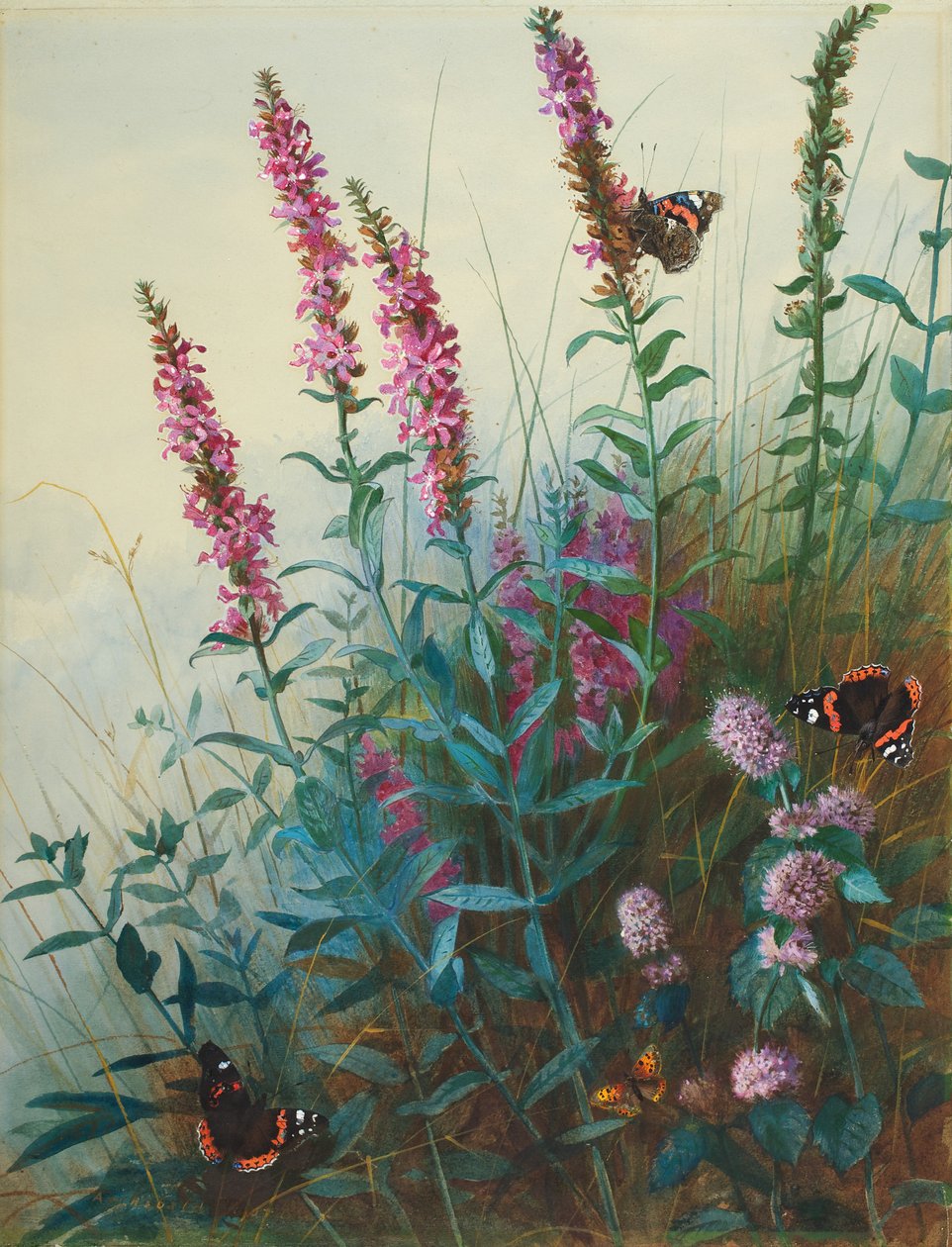 Liatris y menta acuática, c.1910-20 de Archibald Thorburn