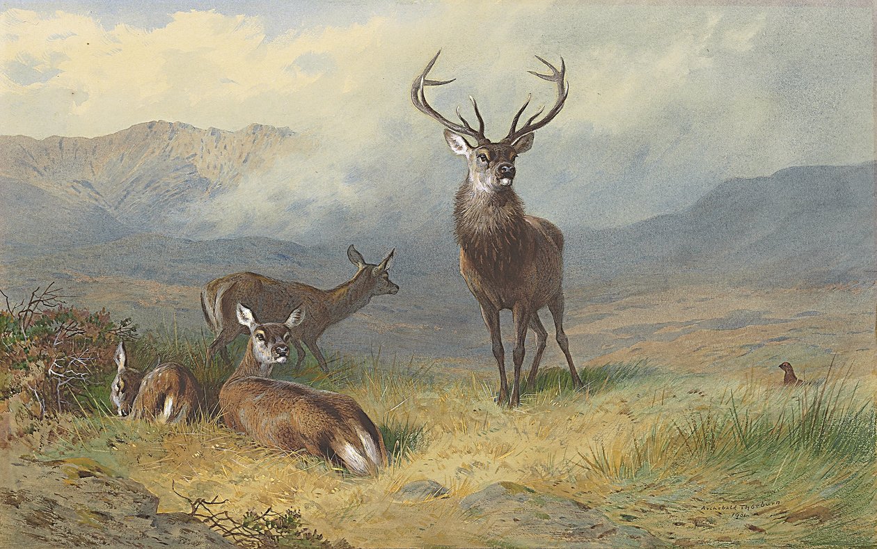 Monarca de la cañada de Archibald Thorburn