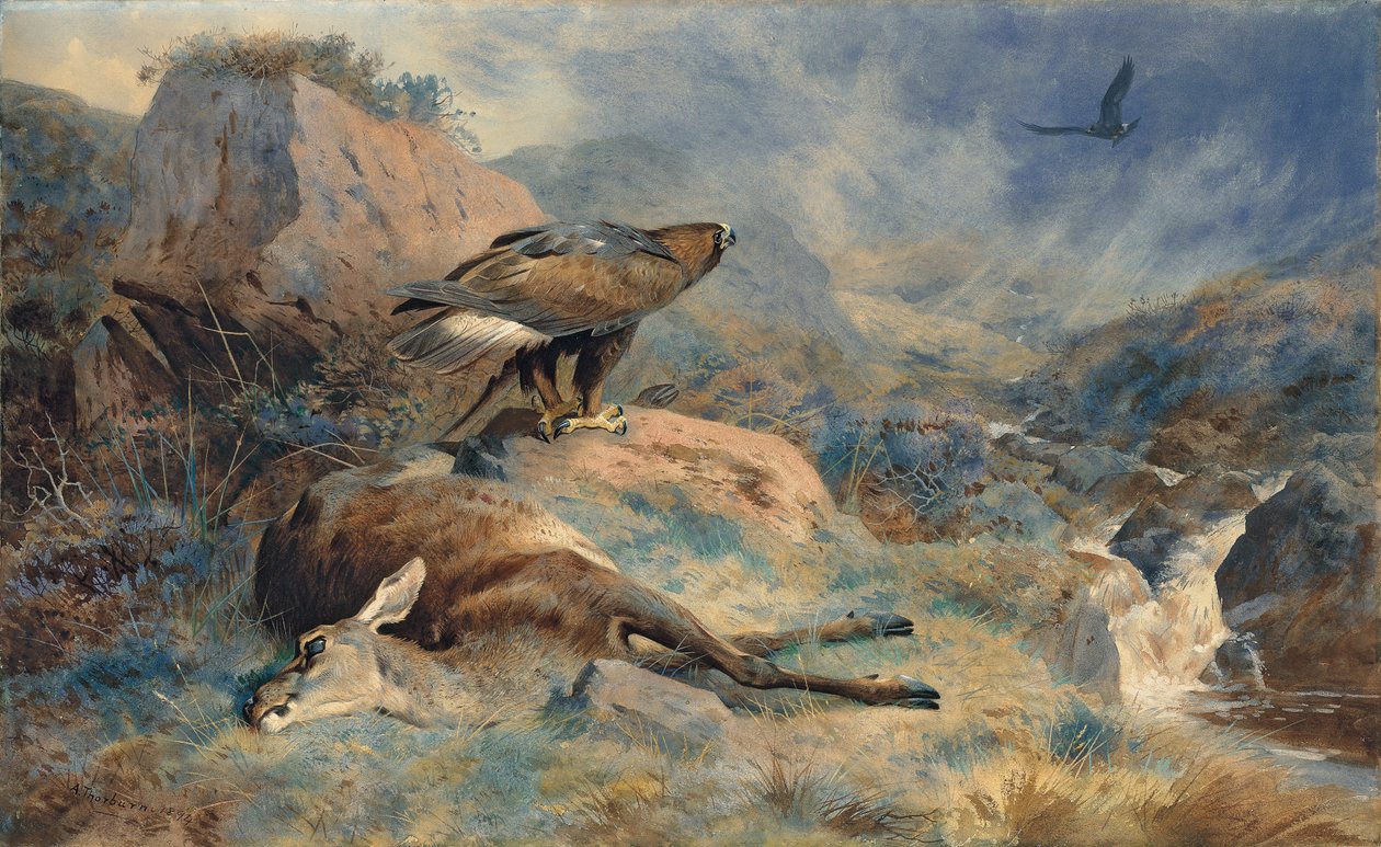 La cierva perdida de Archibald Thorburn