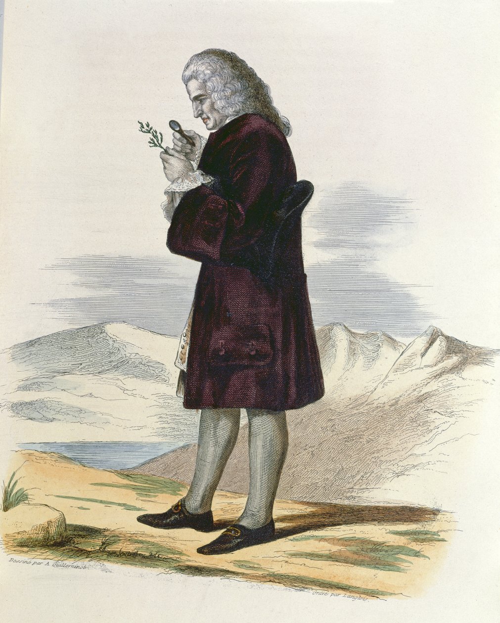 Bernard de Jussieu (1699-1777) c.1820 de Armand Guilleminot