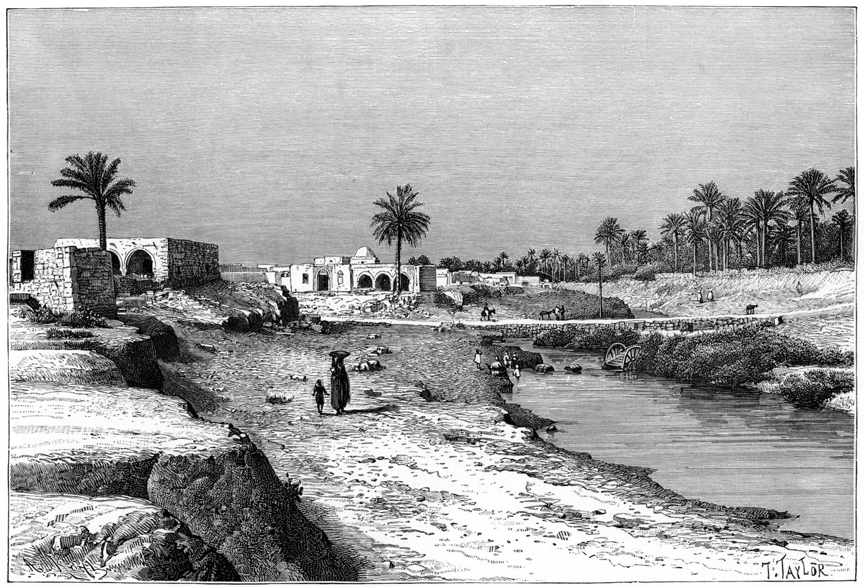 Gabes, Túnez, 1895 de Armand Kohl