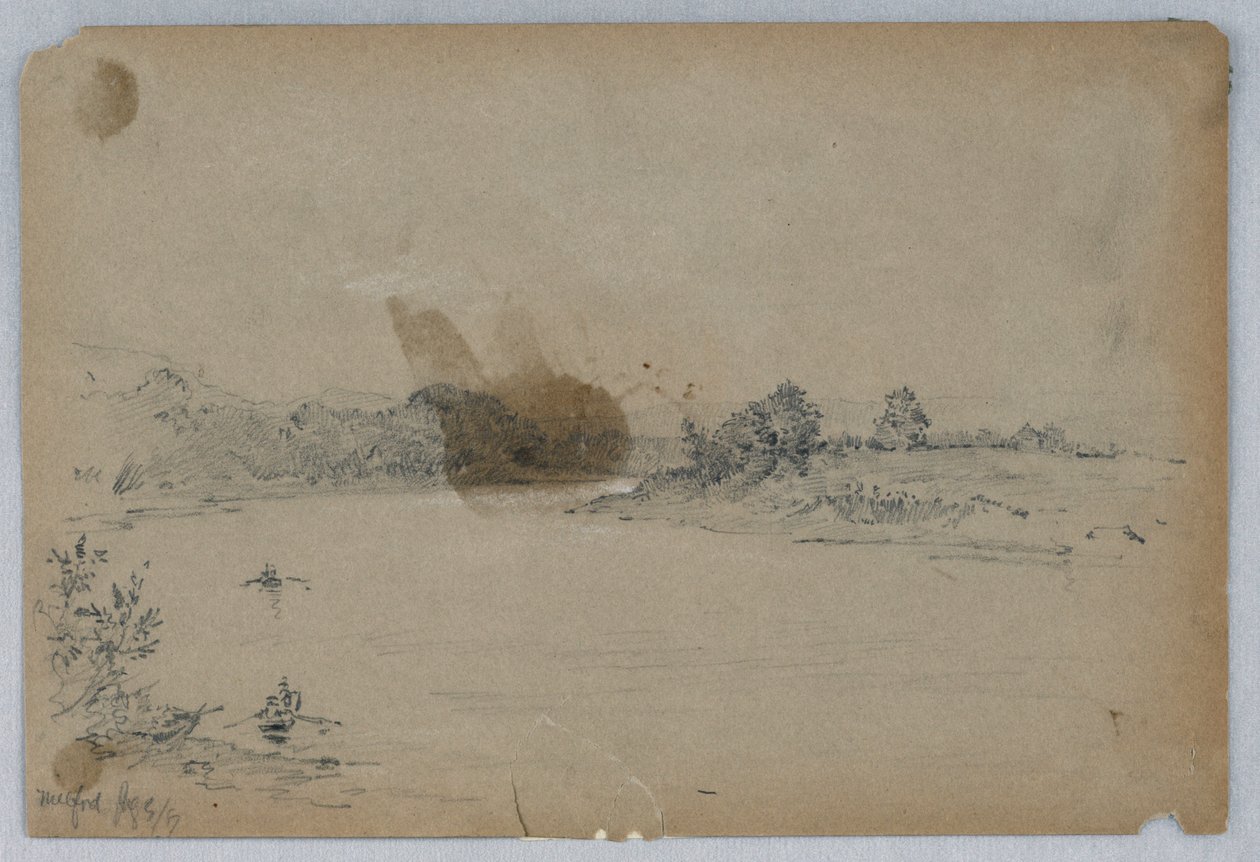 Río en Milford de Arnold William Brunner