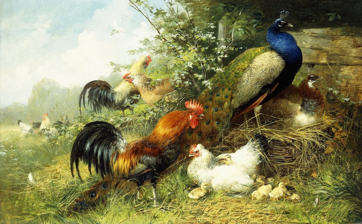 Aves y Pavos Reales, 1899 de Arthur Fitzwilliam Tait