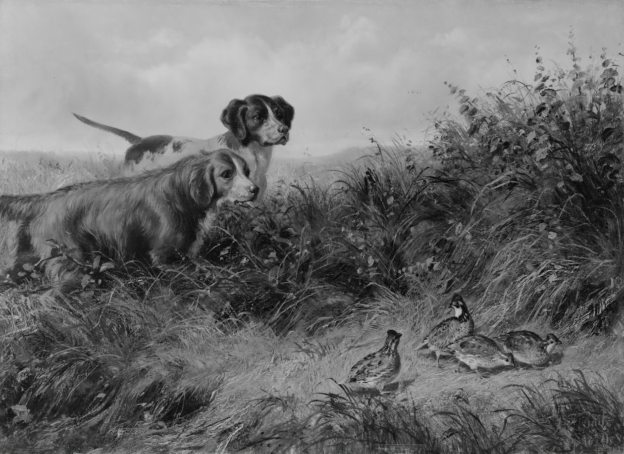 En Punta de Arthur Fitzwilliam Tait