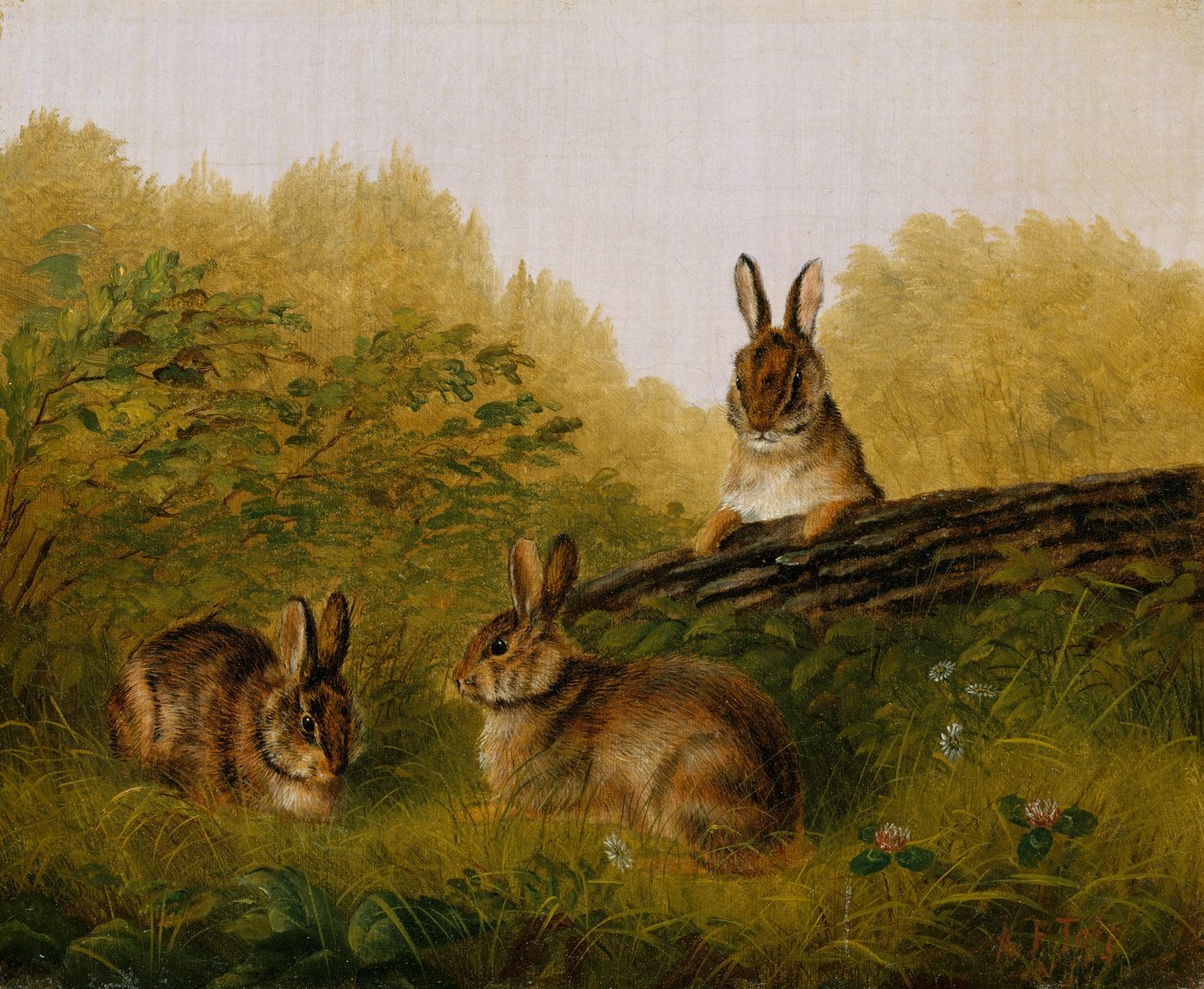 Conejos en un tronco de Arthur Fitzwilliam Tait