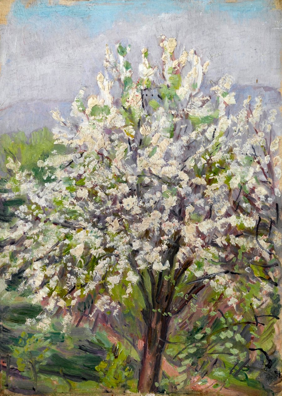 Flor de Almendro de Arthur Haythorne Studd