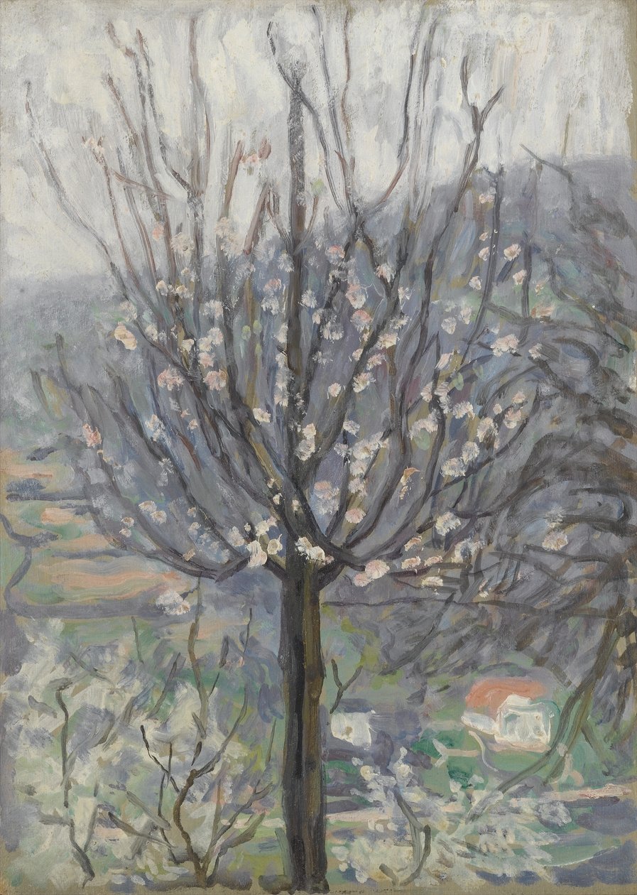 Floración, temprano en la mañana de Arthur Haythorne Studd
