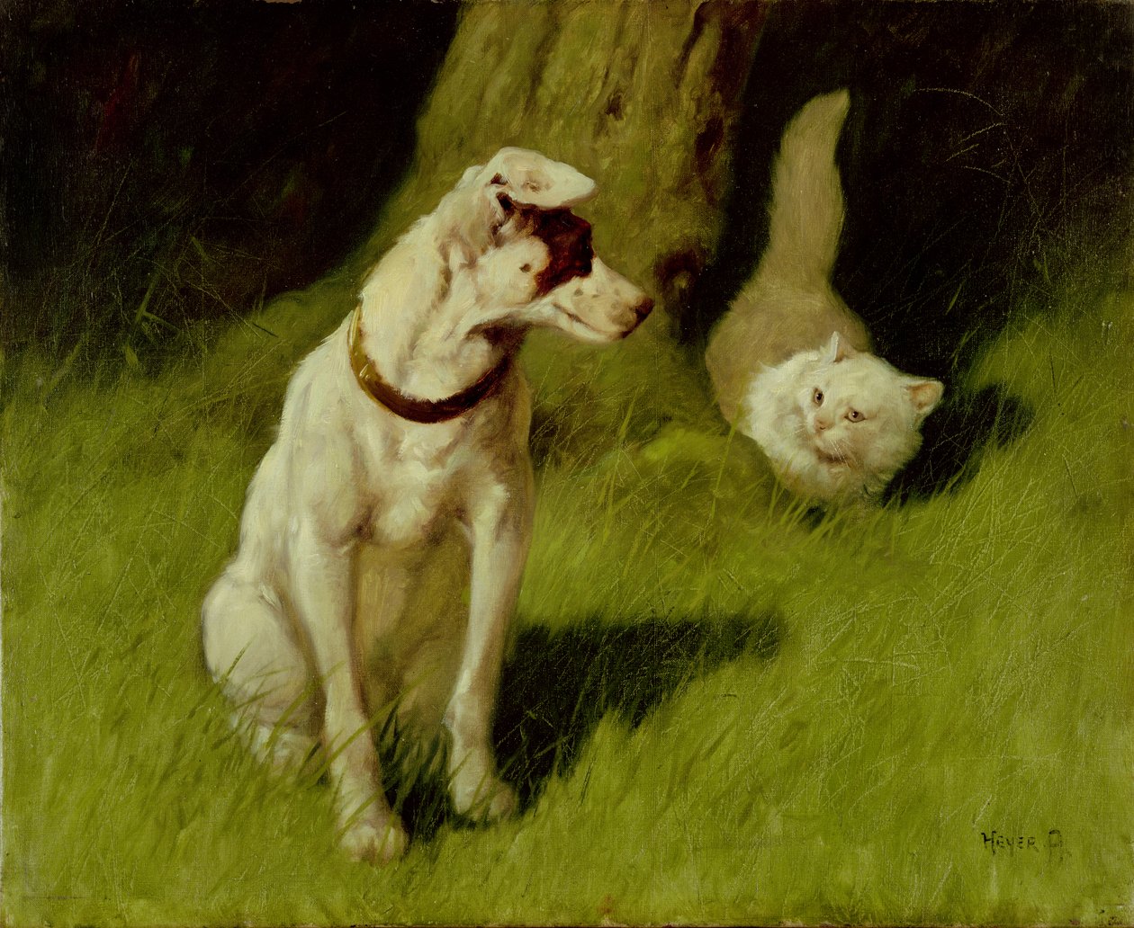 Gato persa blanco y Jack Russell de Arthur Heyer