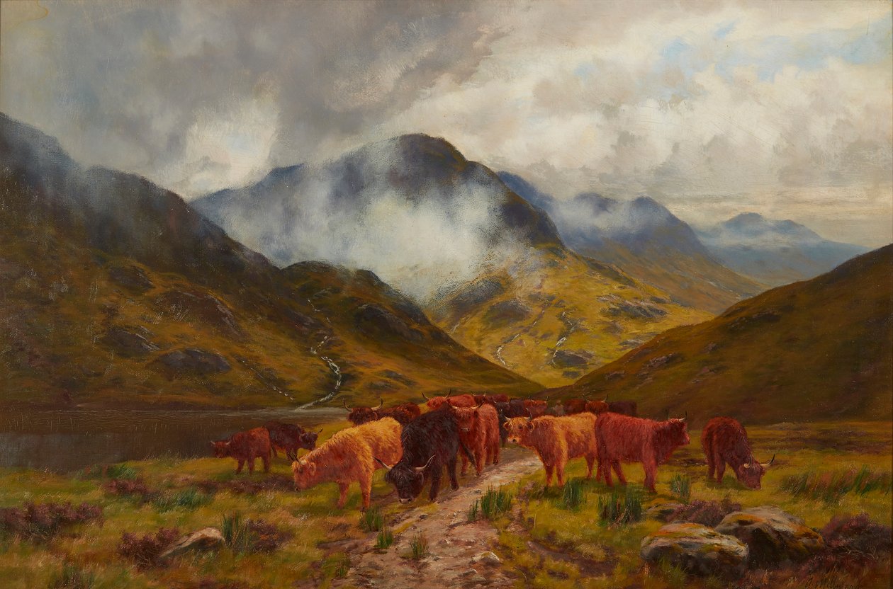 Highland Cattle (óleo sobre lienzo) de Arthur Millward