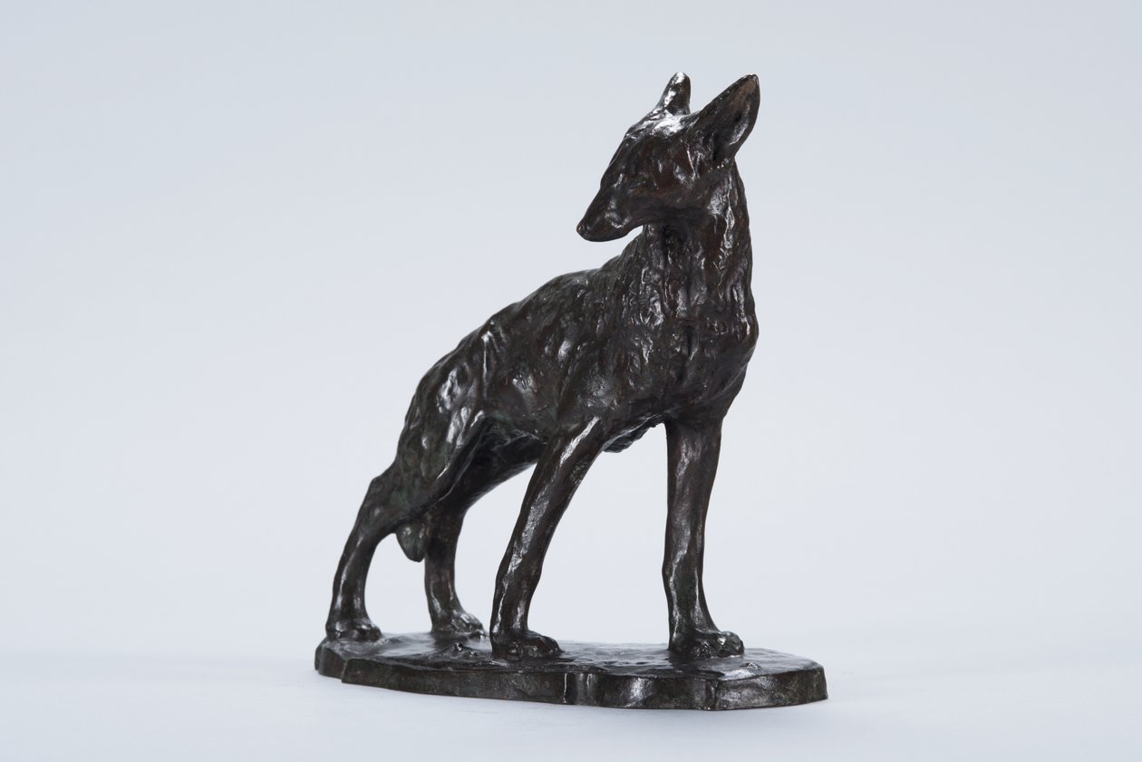 Coyote alerta de Arthur Putnam