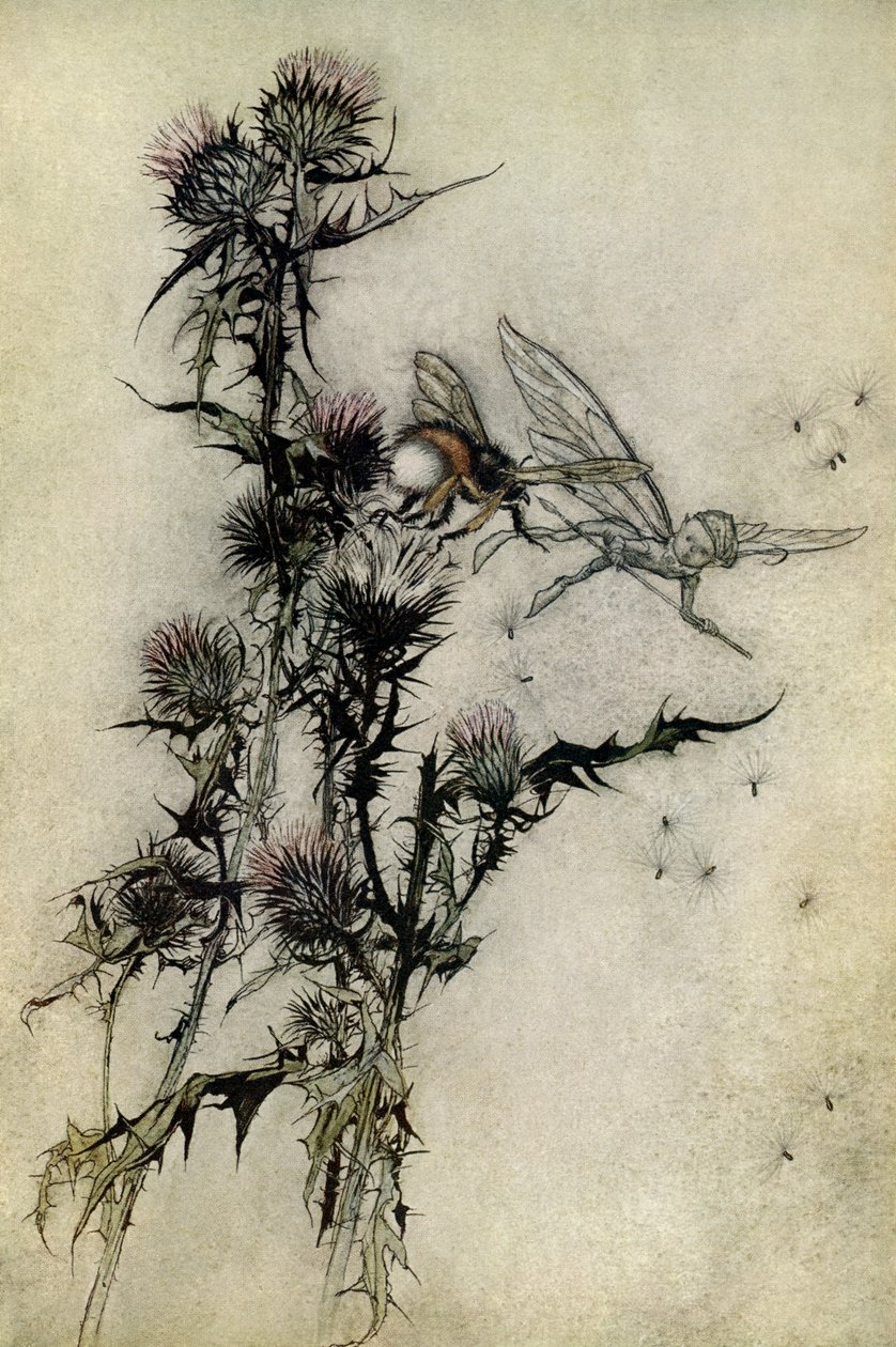El sueño de una noche de verano de Arthur Rackham