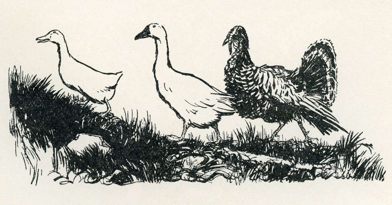 Henny-Penny de Arthur Rackham