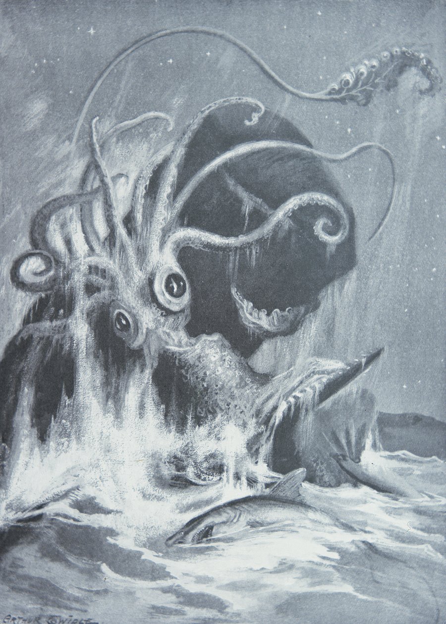 El Kraken vs. Cachalotes de Arthur Twidle