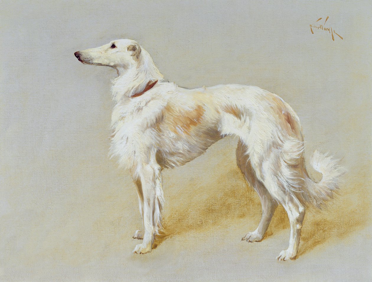 Un perro borzoi (óleo sobre lienzo) de Arthur Wardle