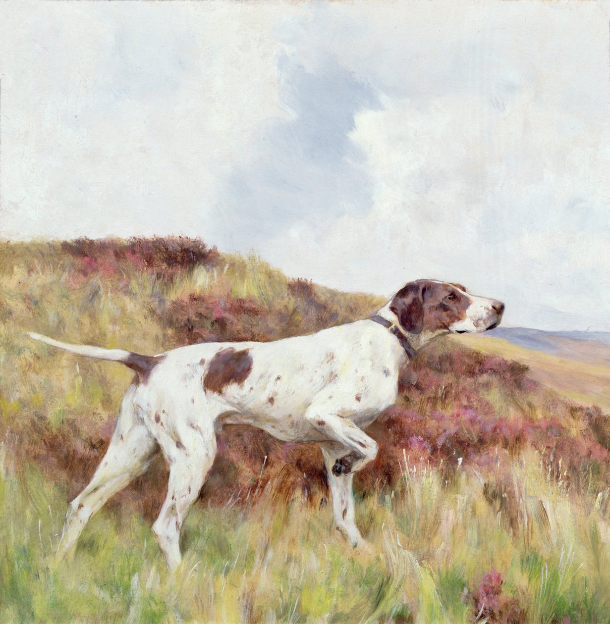 Un puntero (óleo sobre tabla) de Arthur Wardle