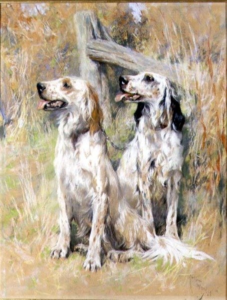 Setters ingleses por un estilo de Arthur Wardle
