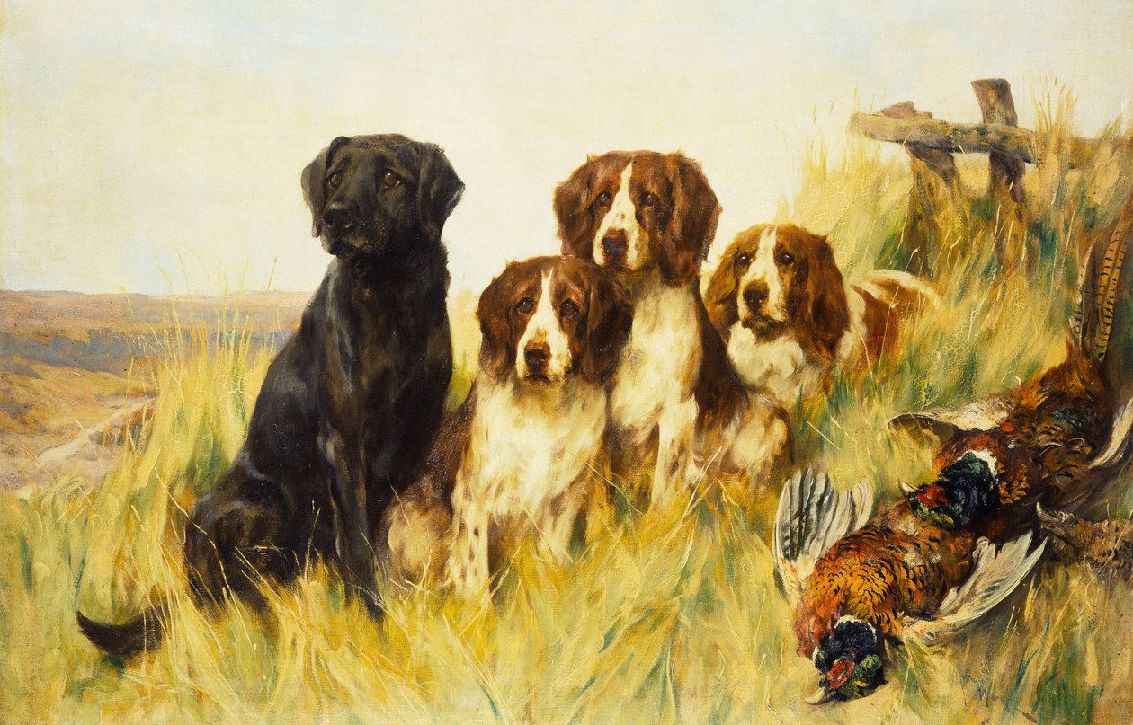 Looking Ahead (óleo sobre lienzo) de Arthur Wardle