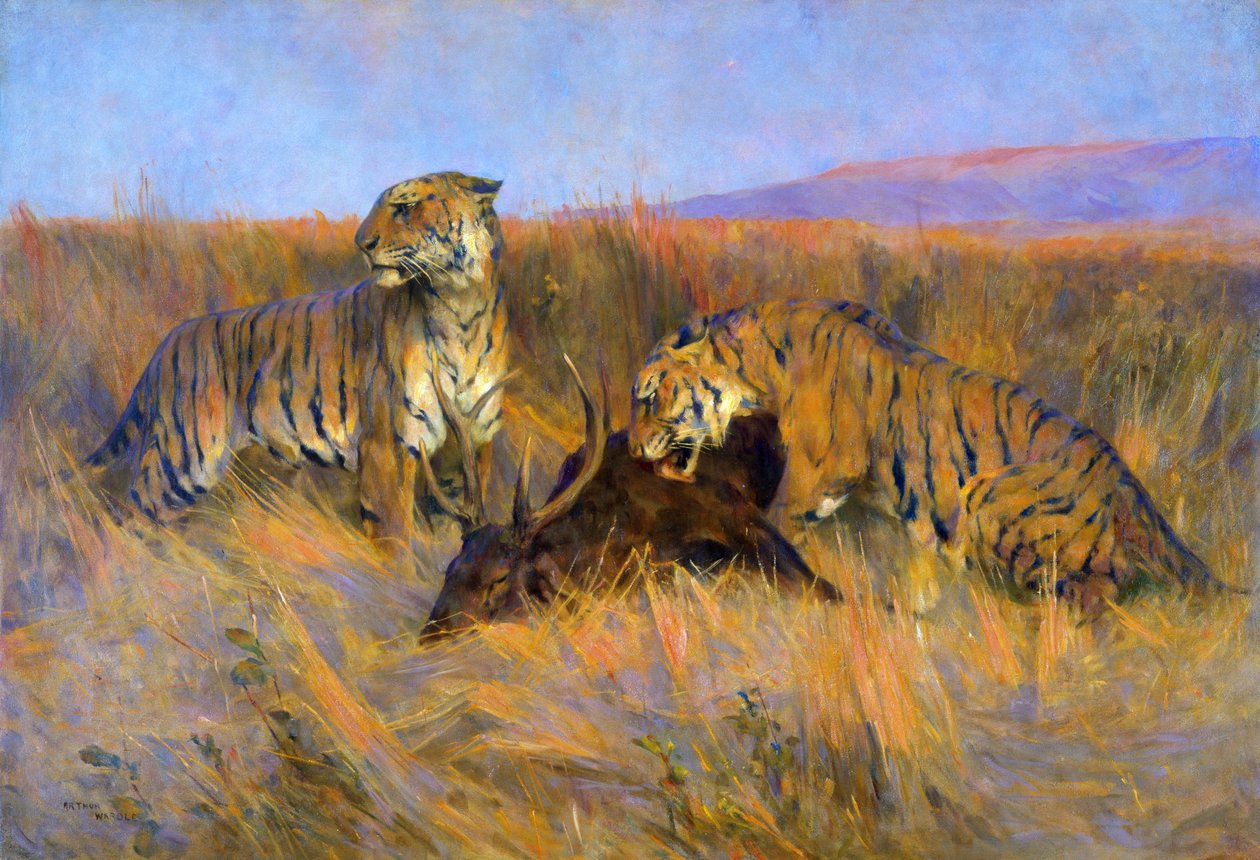 Tigres en la matanza (óleo sobre lienzo) de Arthur Wardle
