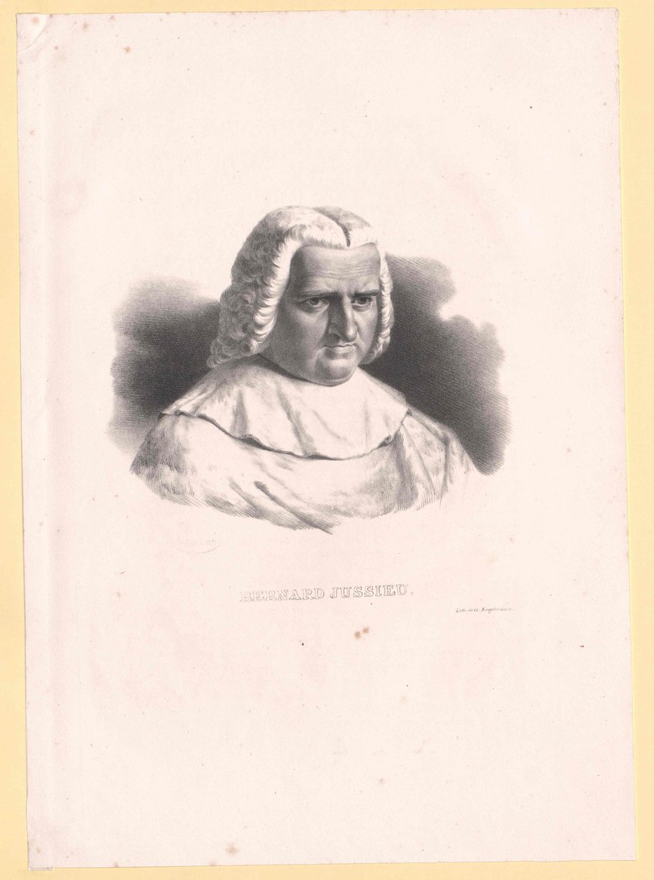Bernard de Jussieu de Artist Unknown