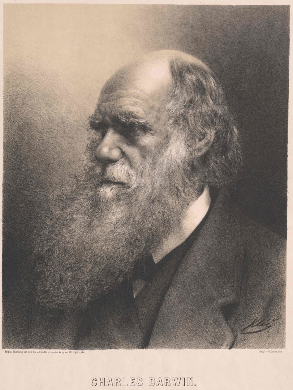 Charles Darwin de Artist Unknown