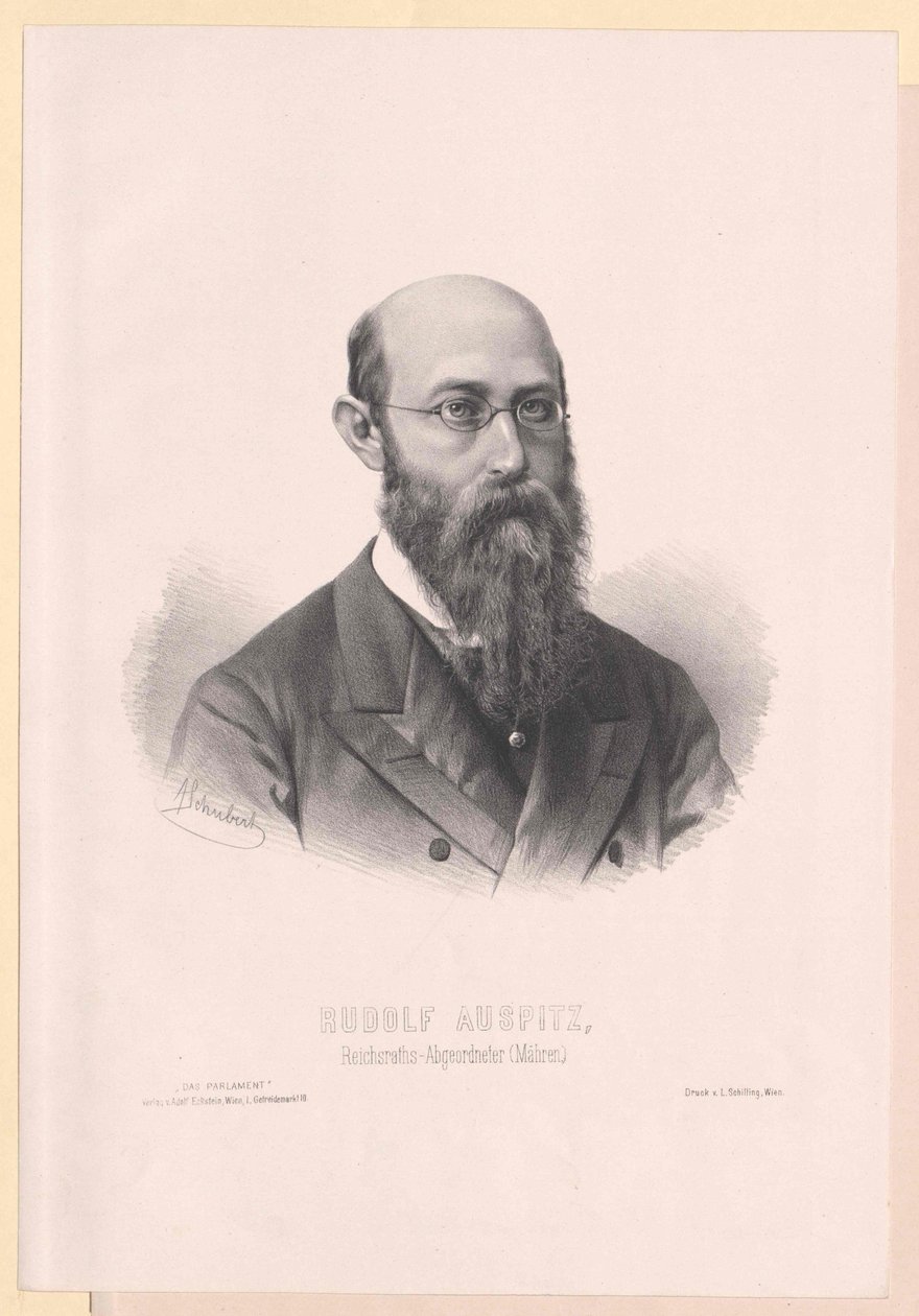 Rudolf Auspitz (imprimir) de Artist Unknown