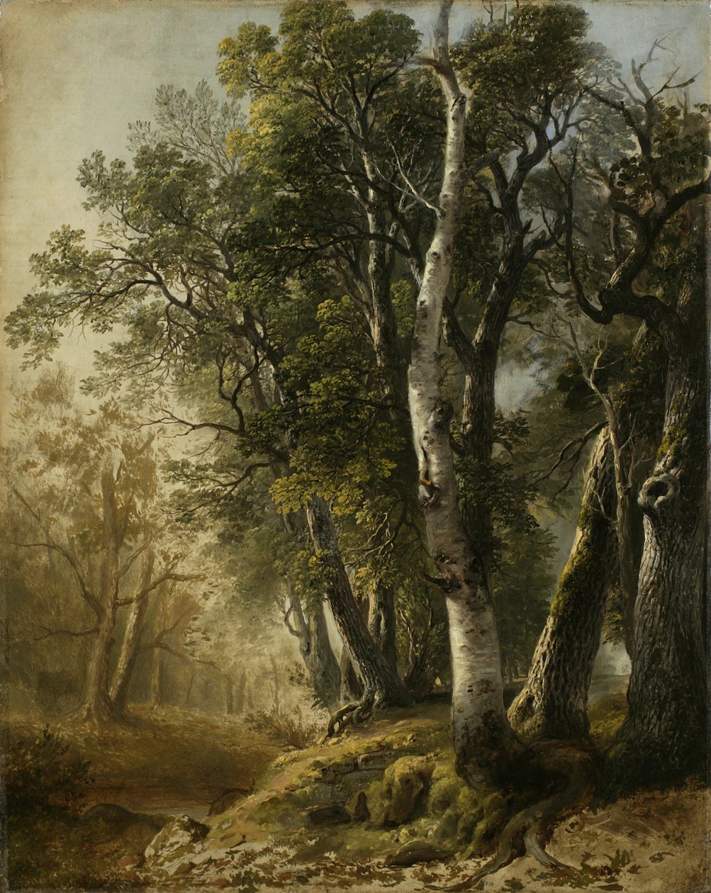 Árboles junto al Arroyo, Kingston, N.Y., 1846 de Asher Brown Durand