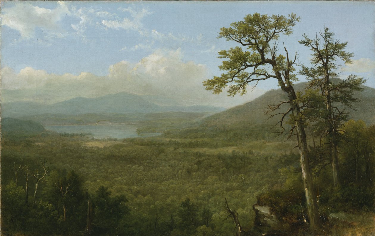 Montañas Adirondack, N.Y., 1870 de Asher Brown Durand