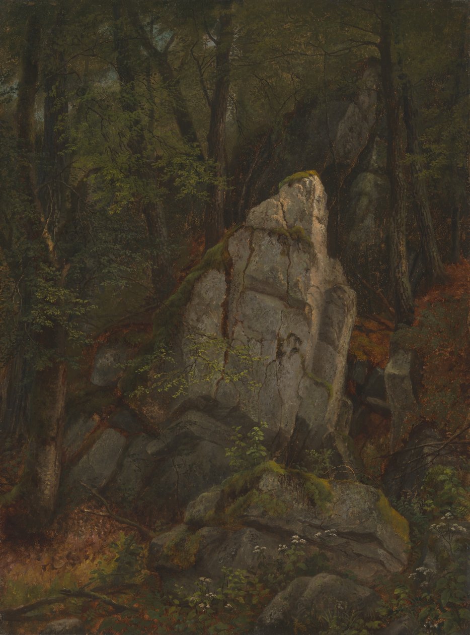 Estudio de rocas en el barranco de Pearson de Asher Brown Durand