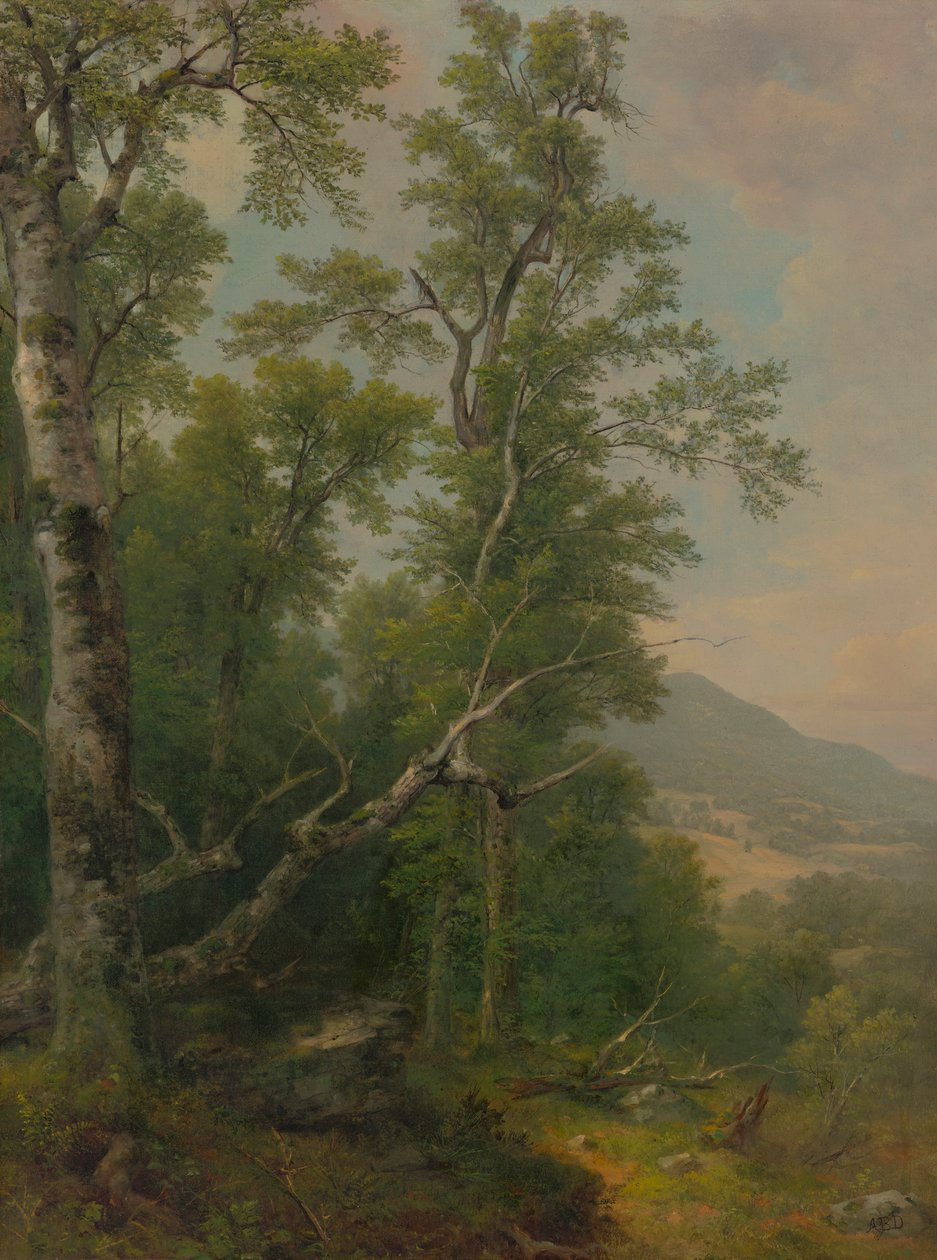 Estudio de árboles de Asher Brown Durand