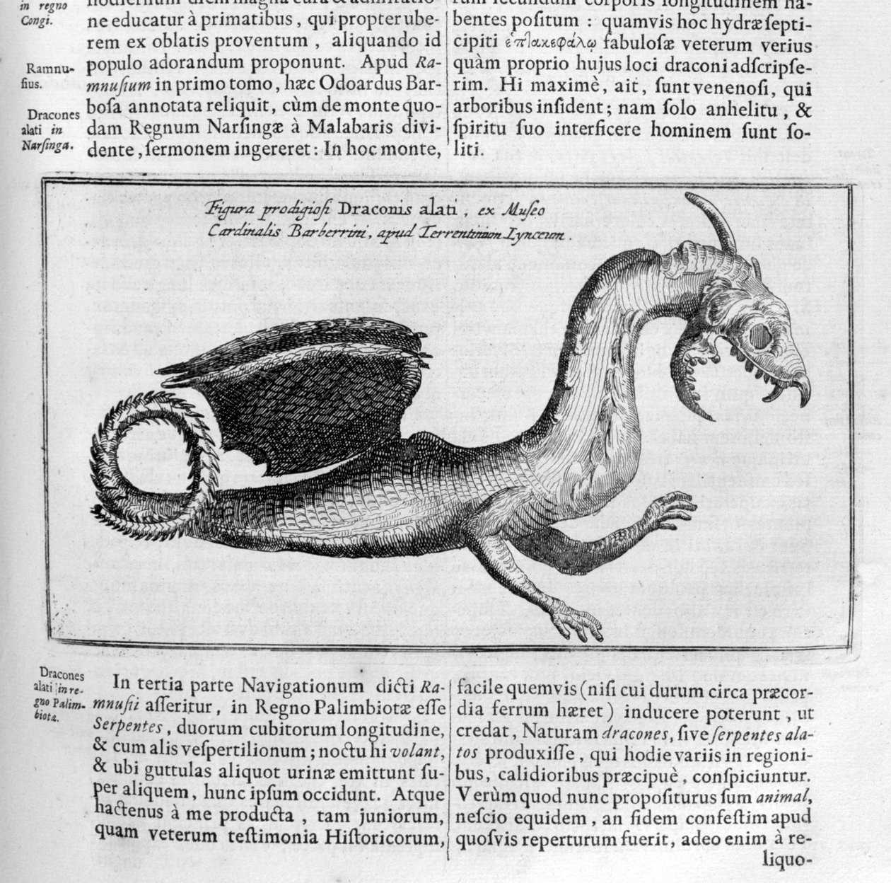 Dragón, 1678 de Athanasius Kircher