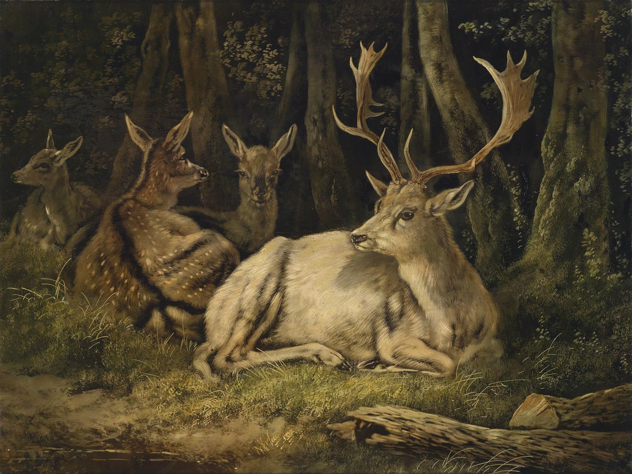 Ciervo dama de August Schleich