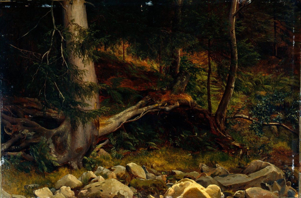 Estudio del suelo del bosque (pintura) de August Cappelen