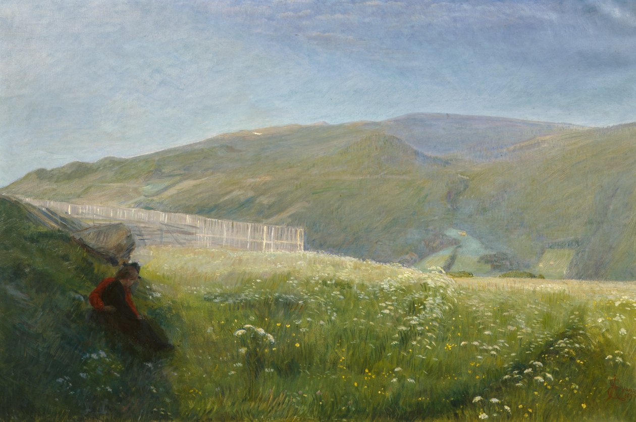 Paisaje de verano, Vågå de August Eiebakke