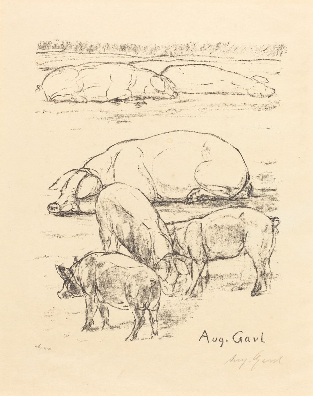 Cerdos de August Gaul