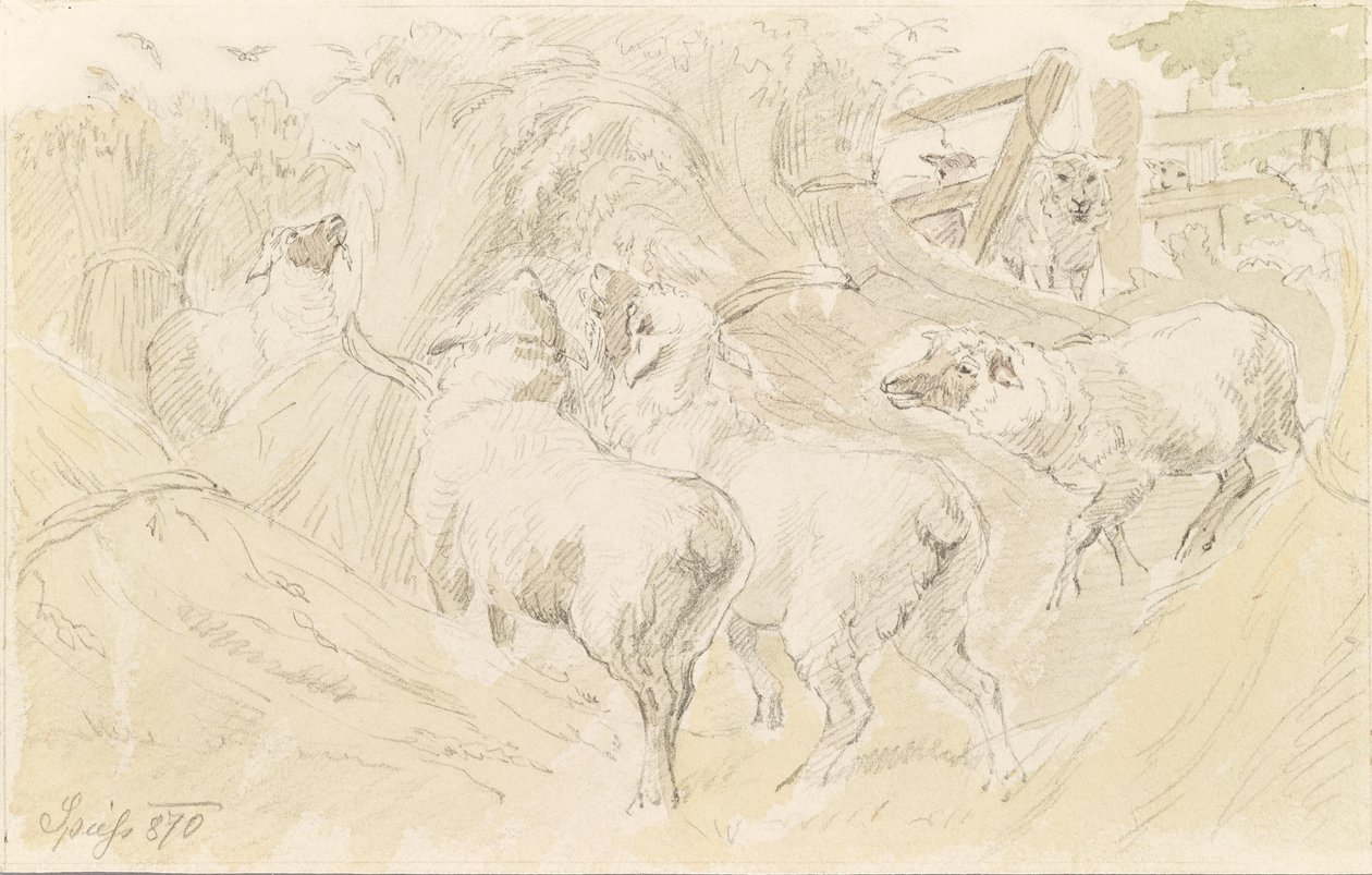 Ovejas en grano de August Spiess
