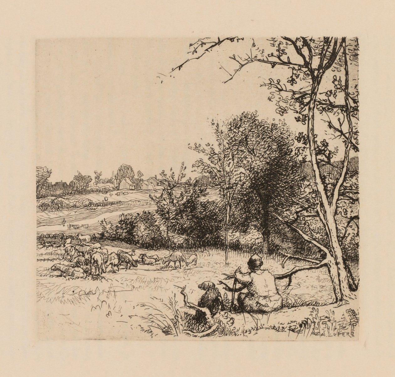 Auguste Lepère: El manzano volcado (Picardía) de Auguste Louis Lepère