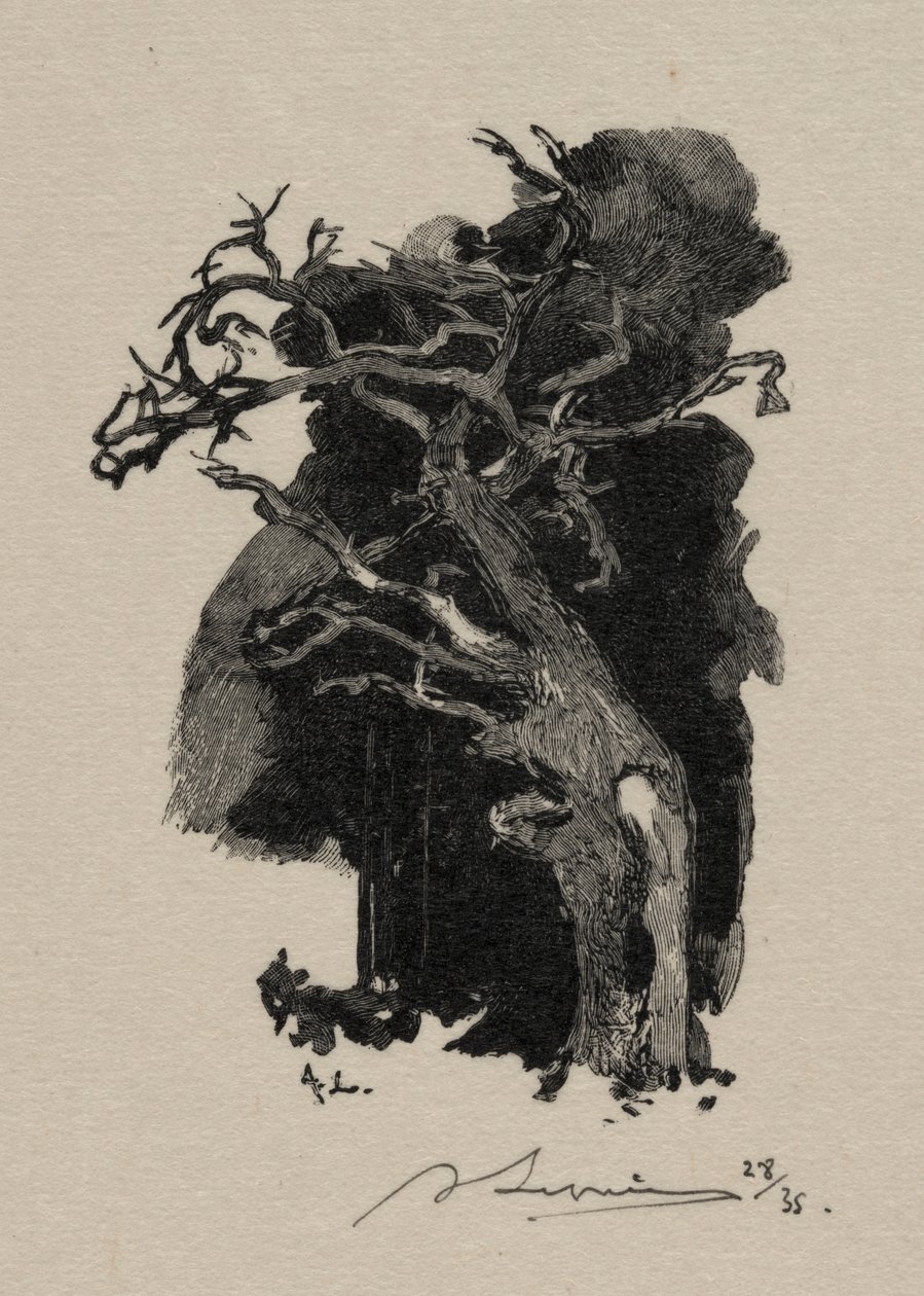 Le Rageur de Auguste Louis Lepère