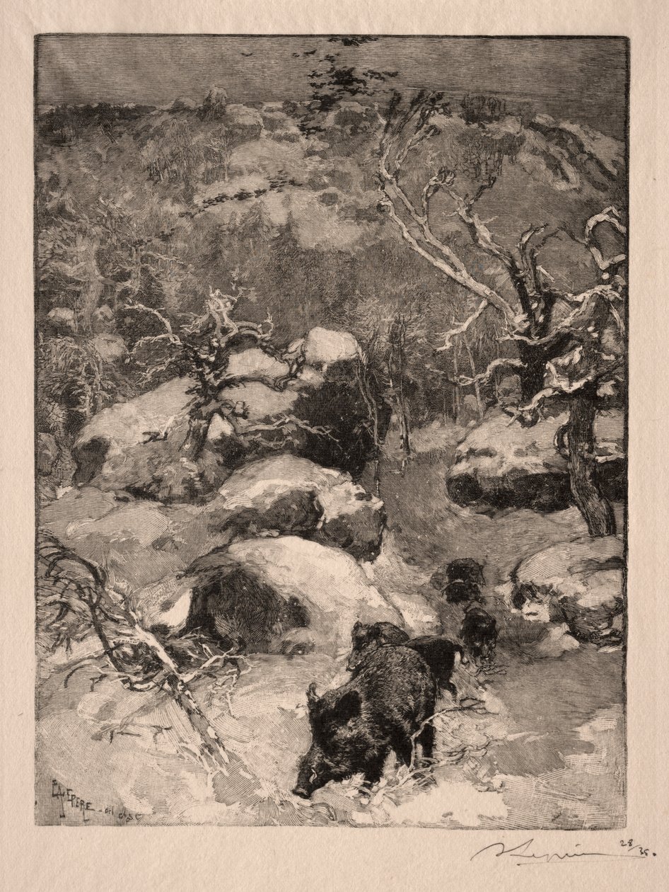 Roca Cuvier Chatillon de Auguste Louis Lepère