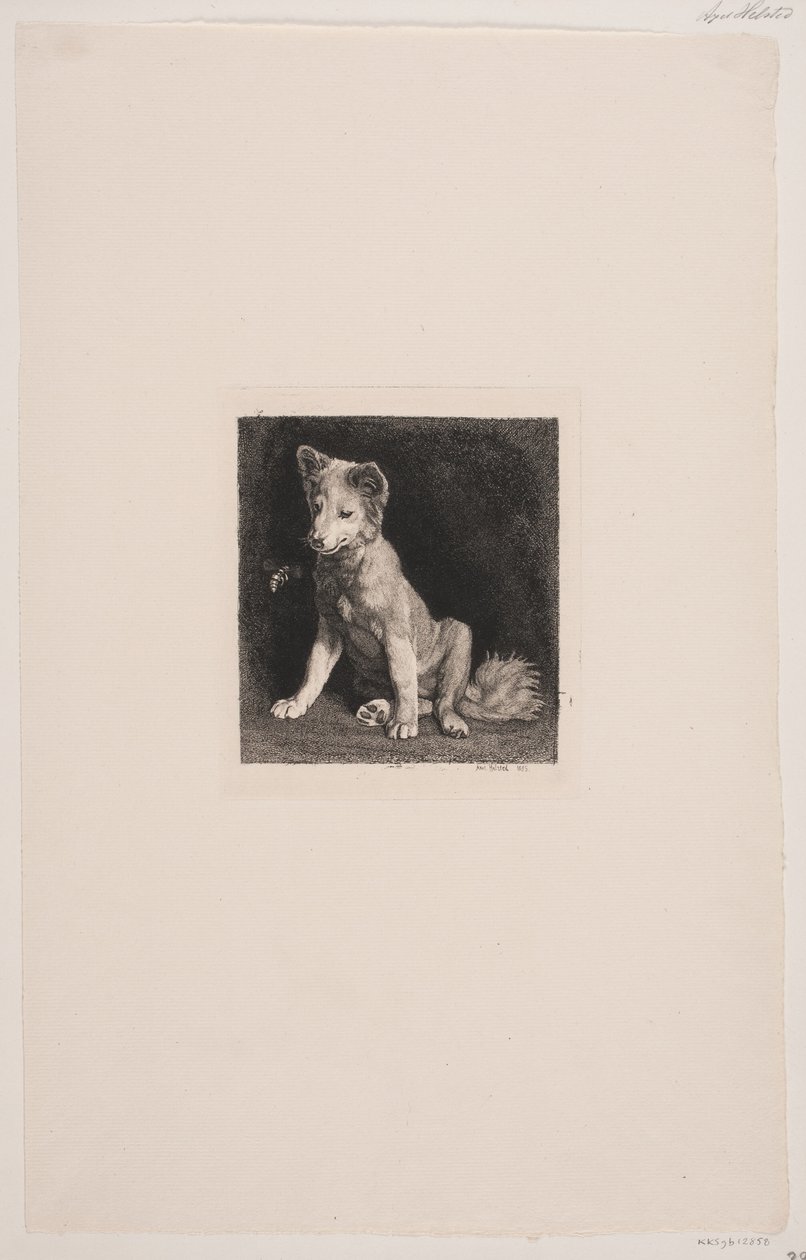 El perro y la abeja de Axel Helsted